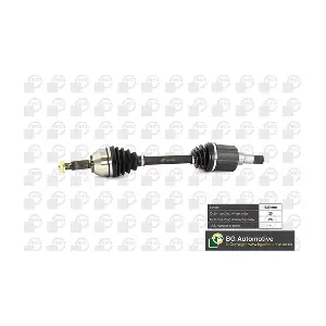 BGA DS2300L