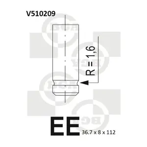BGA V510209