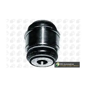 BU4203 BGA