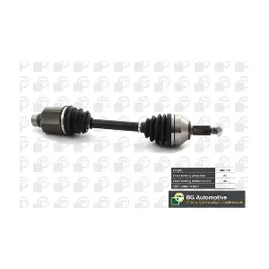 DS2357R BGA