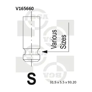 BGA V165660