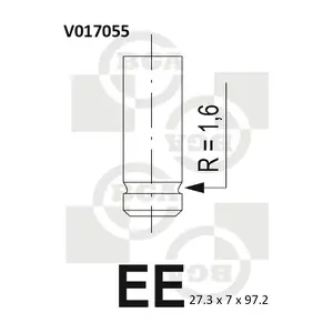 BGA V017055