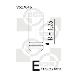 BGA V517646
