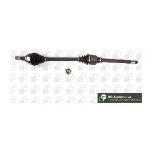 BGA DS6737R
