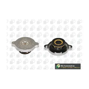 CC3025 BGA