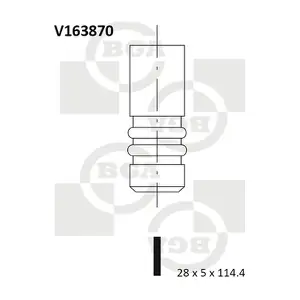 V163870 BGA