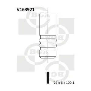 BGA V163921