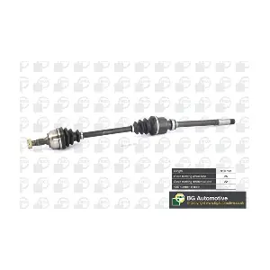 DS6724RA BGA