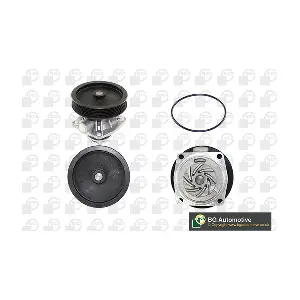 BGA CP3252