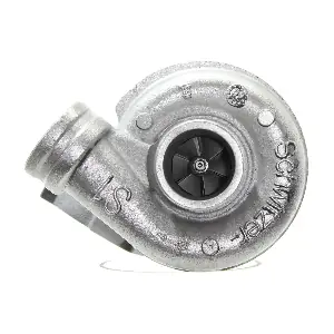 312490 BorgWarner