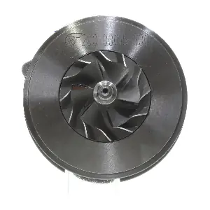 54399880009 BorgWarner (3K)