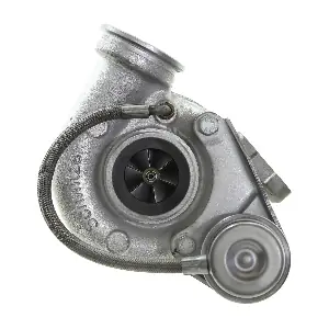 313925 BorgWarner