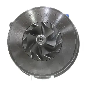 54399710022 BorgWarner (3K)
