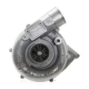 311406 BorgWarner