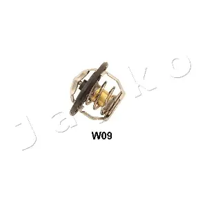 JAPKO 38W09