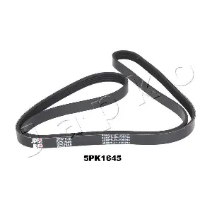 JAPKO 5PK1645