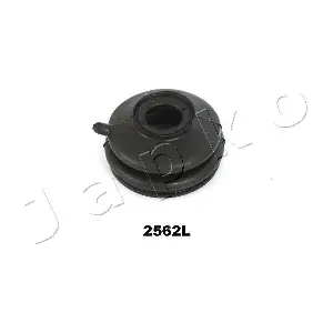GOJ2562 JAPKO