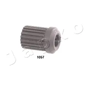 GOJ1057 JAPKO