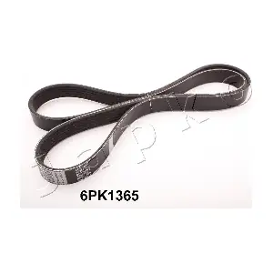 JAPKO 6PK1365