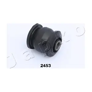 GOJ2453 JAPKO