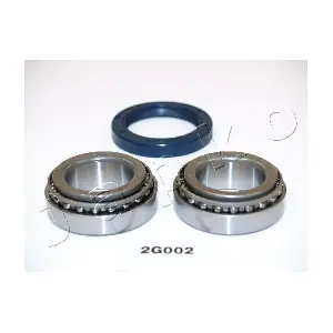 42G002 JAPKO