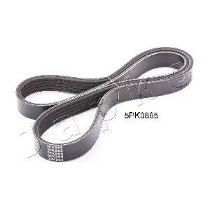 JAPKO 5PK865