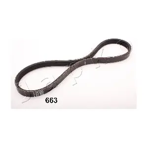 96663 JAPKO