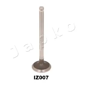 5IZ007 JAPKO