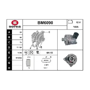 BM6090 SERA