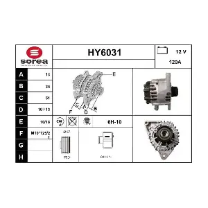 HY6031 SERA
