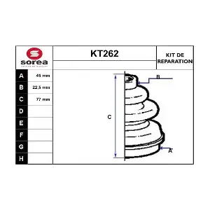 KT262 SERA