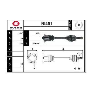 NI451 SERA