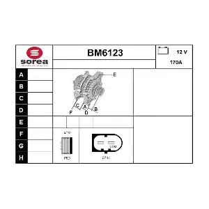 BM6123 SERA