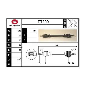 TT209 SERA