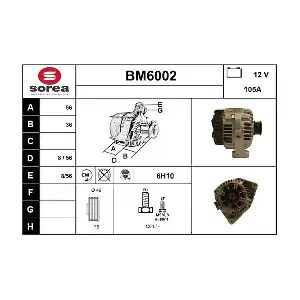 SERA BM6002