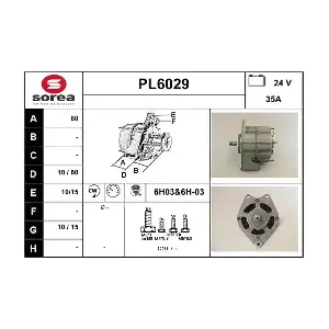 SERA PL6029
