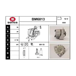 SERA BM6013
