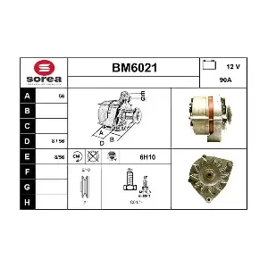 BM6021 SERA