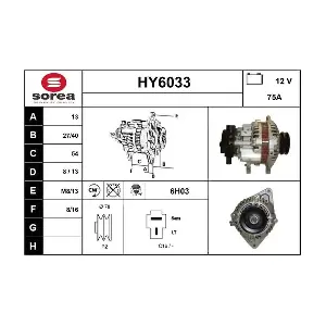 HY6033 SERA