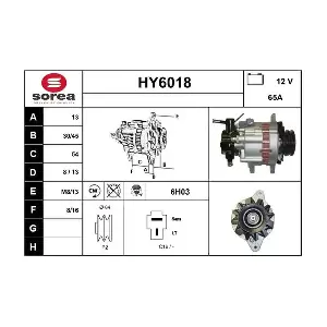 HY6018 SERA