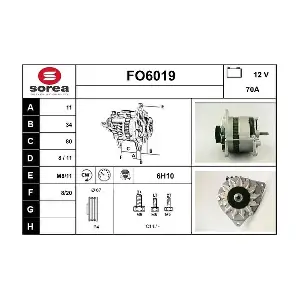 SERA FO6019