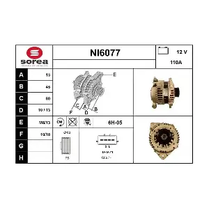 NI6077 SERA
