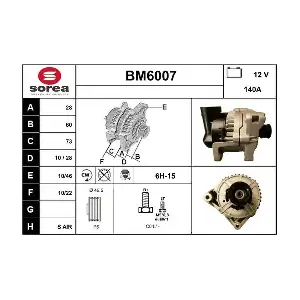 BM6007 SERA