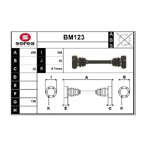 BM123 SERA