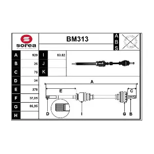 BM313 SERA
