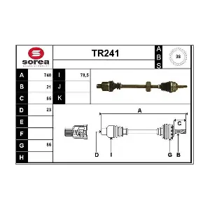 TR241 SERA
