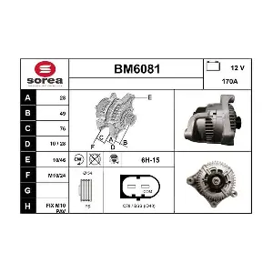 BM6081 SERA