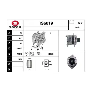 IS6019 SERA