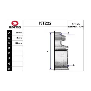 KT222 SERA