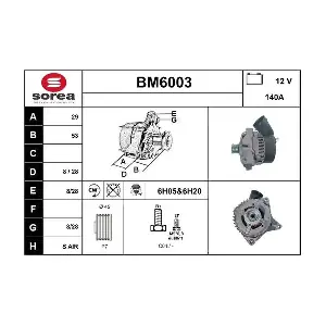 SERA BM6003